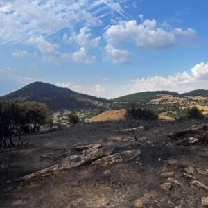 kesanda orman yangini incelemesi RBYwVlul