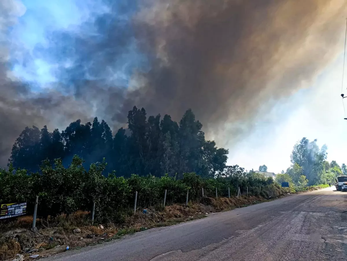 adanada yanginla mucadele DcL6OwYW