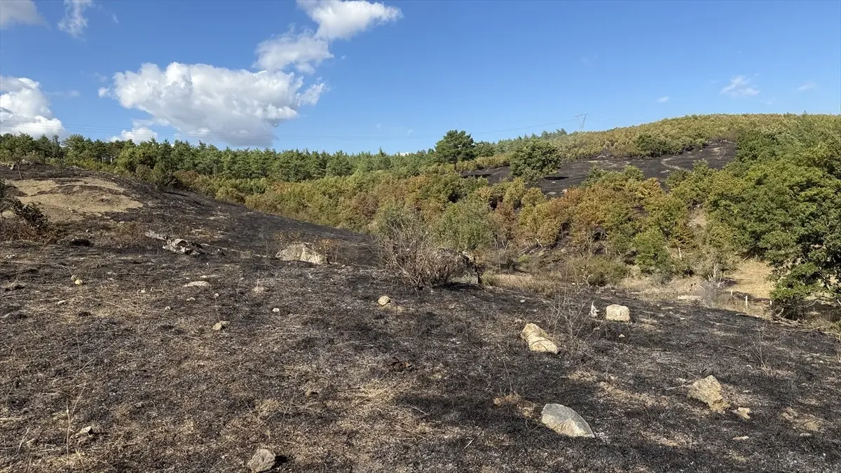 canda yangin kontrol altina alindi Yg5zQUEN