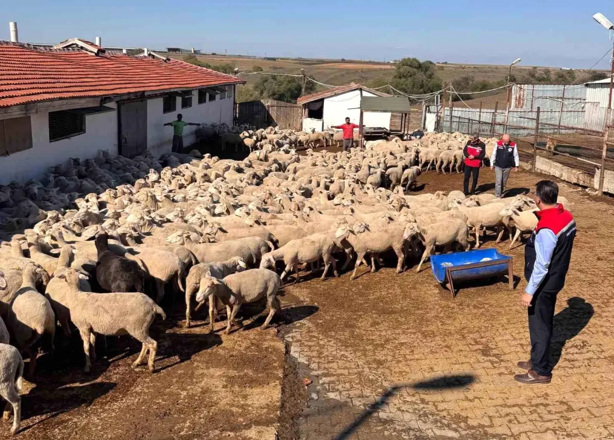 tekirdag tarim ve orman il muduru ciftcileri ziyaret etti EjkYP2C7.jpg