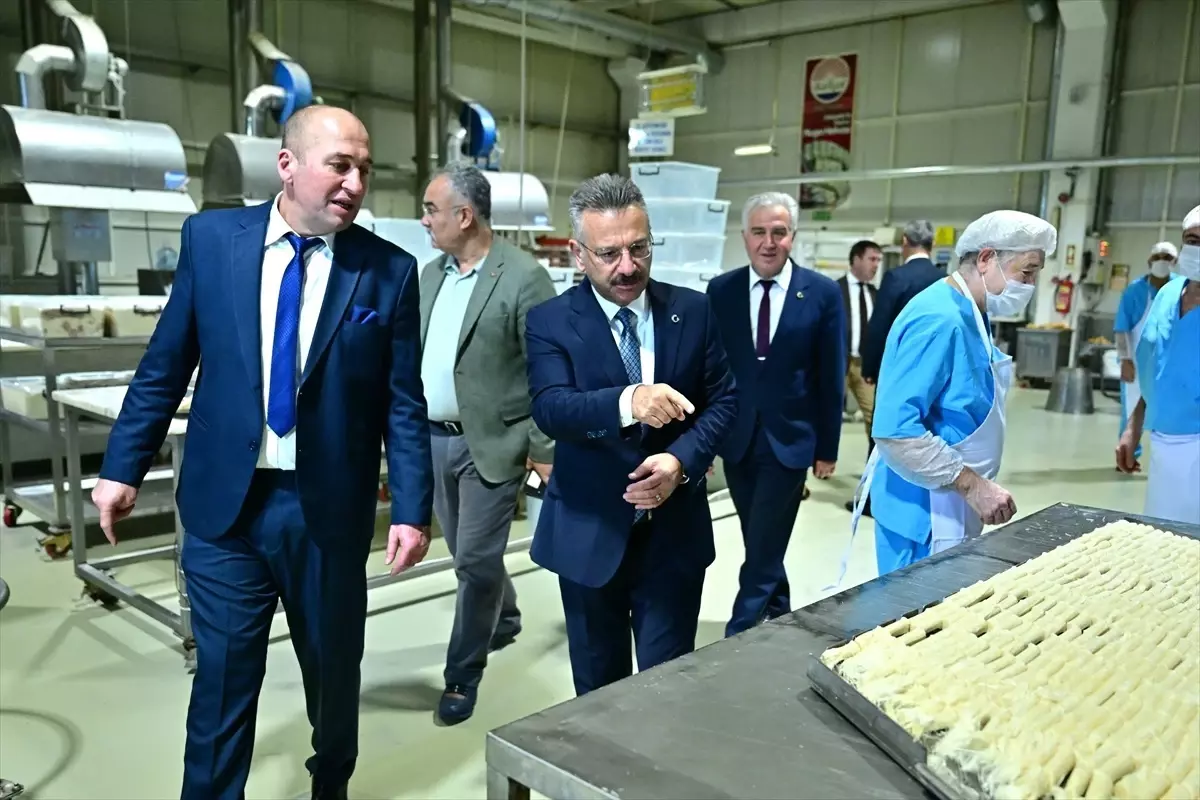 vali aksoydan asirlik firmalara ziyaret 9GPOvmP2.jpg